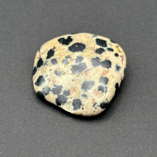 Dalmation Jasper