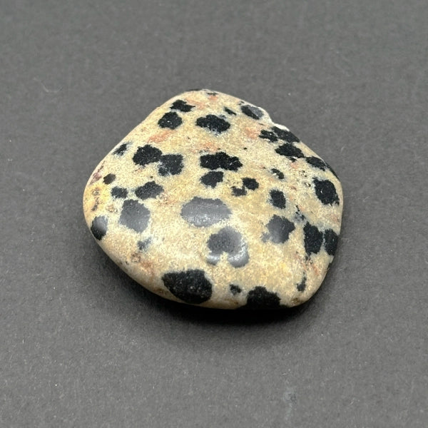 Dalmation Jasper