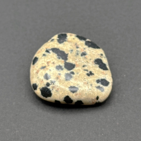 Dalmation Jasper